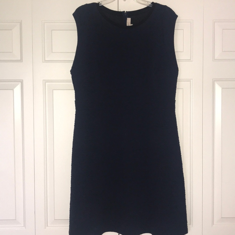 Navy Sleeveless LOFT dress